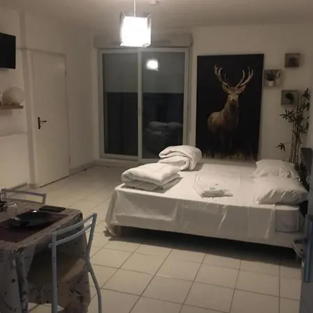 Chaleureux Apartment *