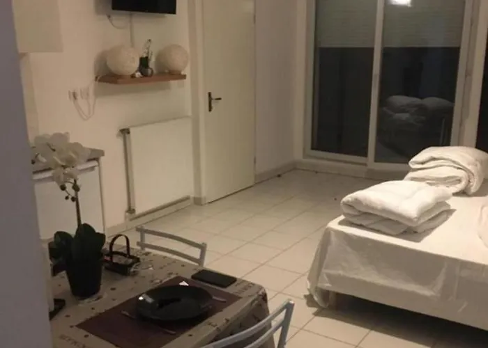 Apartman Chaleureux Toulouse